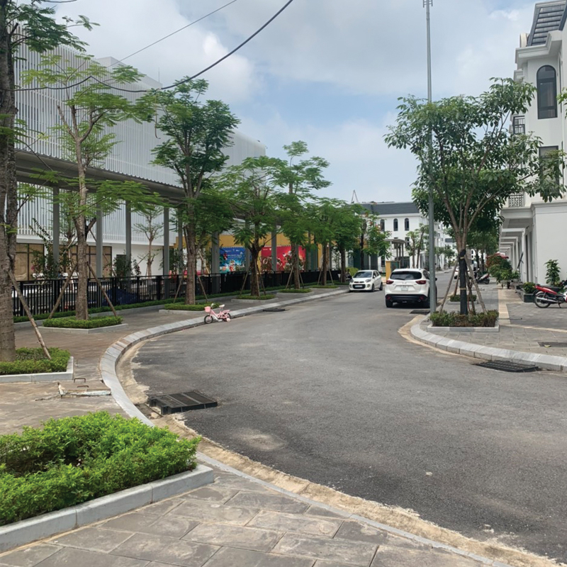 mặt bằng đường nhựa đường nội đô Crown Villas Thái Nguyên